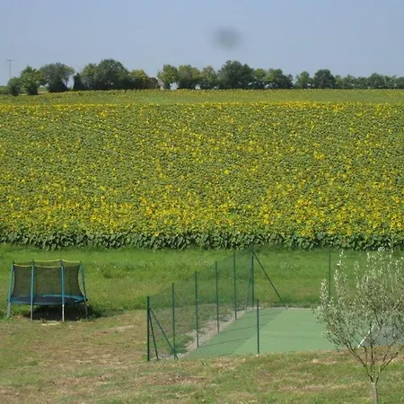 Les Coteaux De Nyaraló *