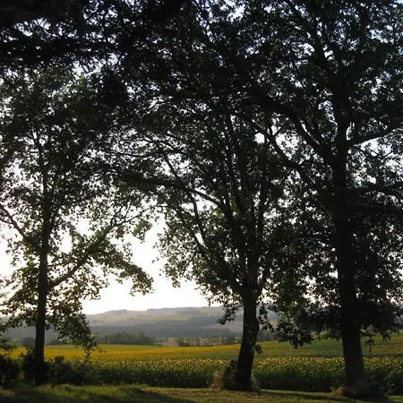 Semesterbostad Les Coteaux De Miradoux